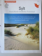 Sylt Schleswig HolsteinPortrait