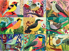 500 Piece Puzzles for Adults,Colorful Cut-Paper Style Birds Jigsaw Puzzle for Ad