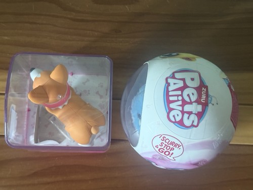 Set giocattolo ZURU Pets Alive Corgi Dancing Pup & Interactive Hamster Mania sigillato nuovo - Foto 5 di 5