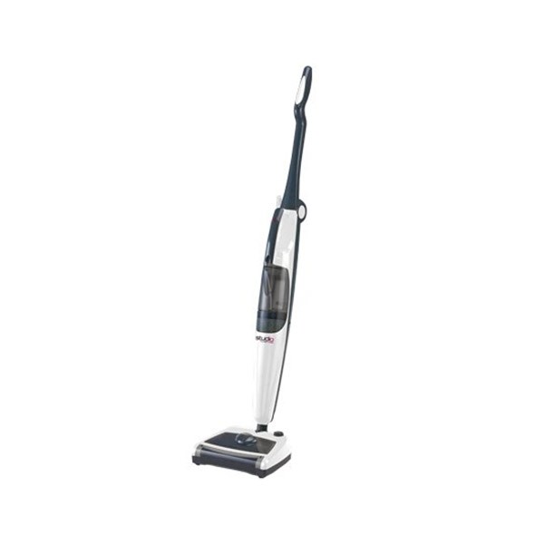 Balai vapeur Astoria NB200A élimine poils animaux et taches rebelles