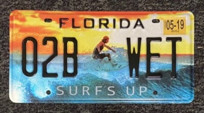 Endless Summer Surfer License Plate Beautiful Alternative | eBay