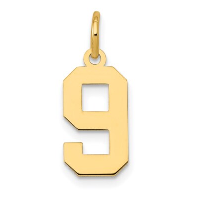 14k Gelbgold kleine polierte Zahl 9 Charm