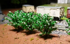 20 Dark Green Bushes, Shrubs, White Blooming 40 mm High