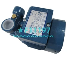 PEDROLLO High-pressure Circulating Water Pump PQM60 220V 2900min Oil Pump