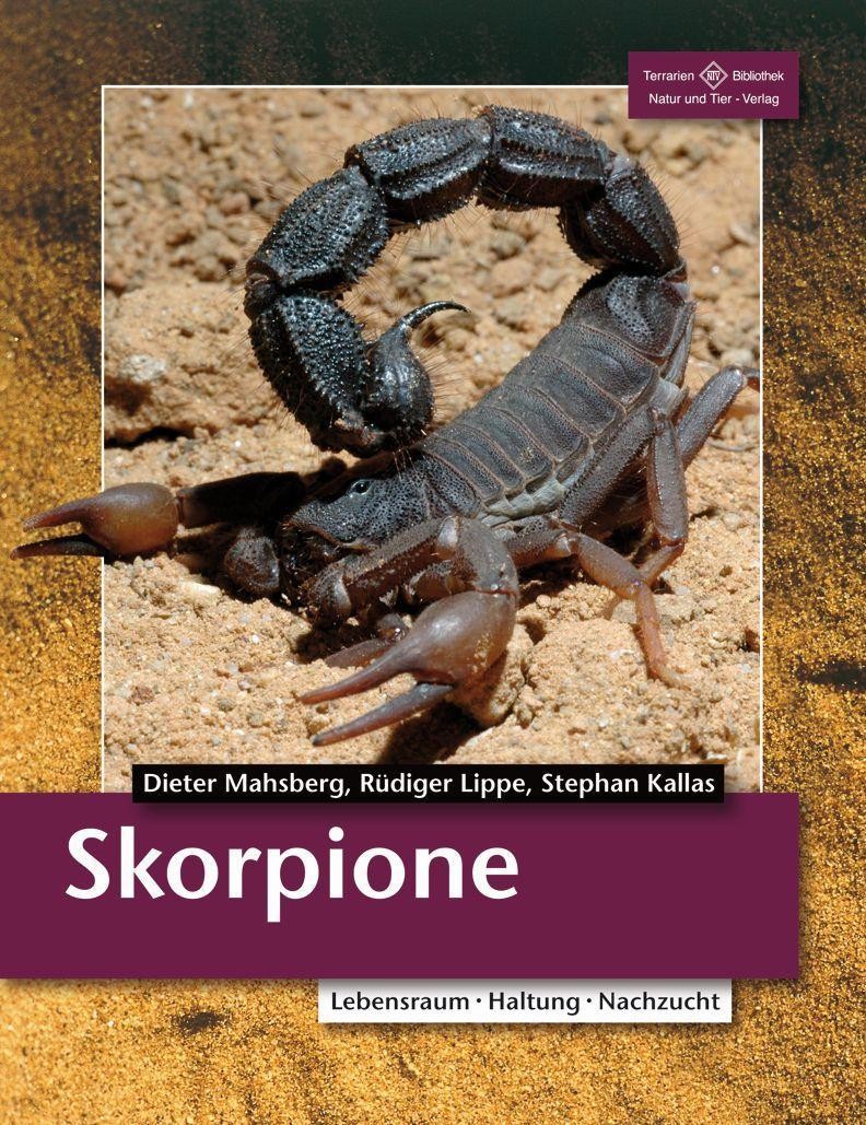Skorpione Rüdiger Lippe