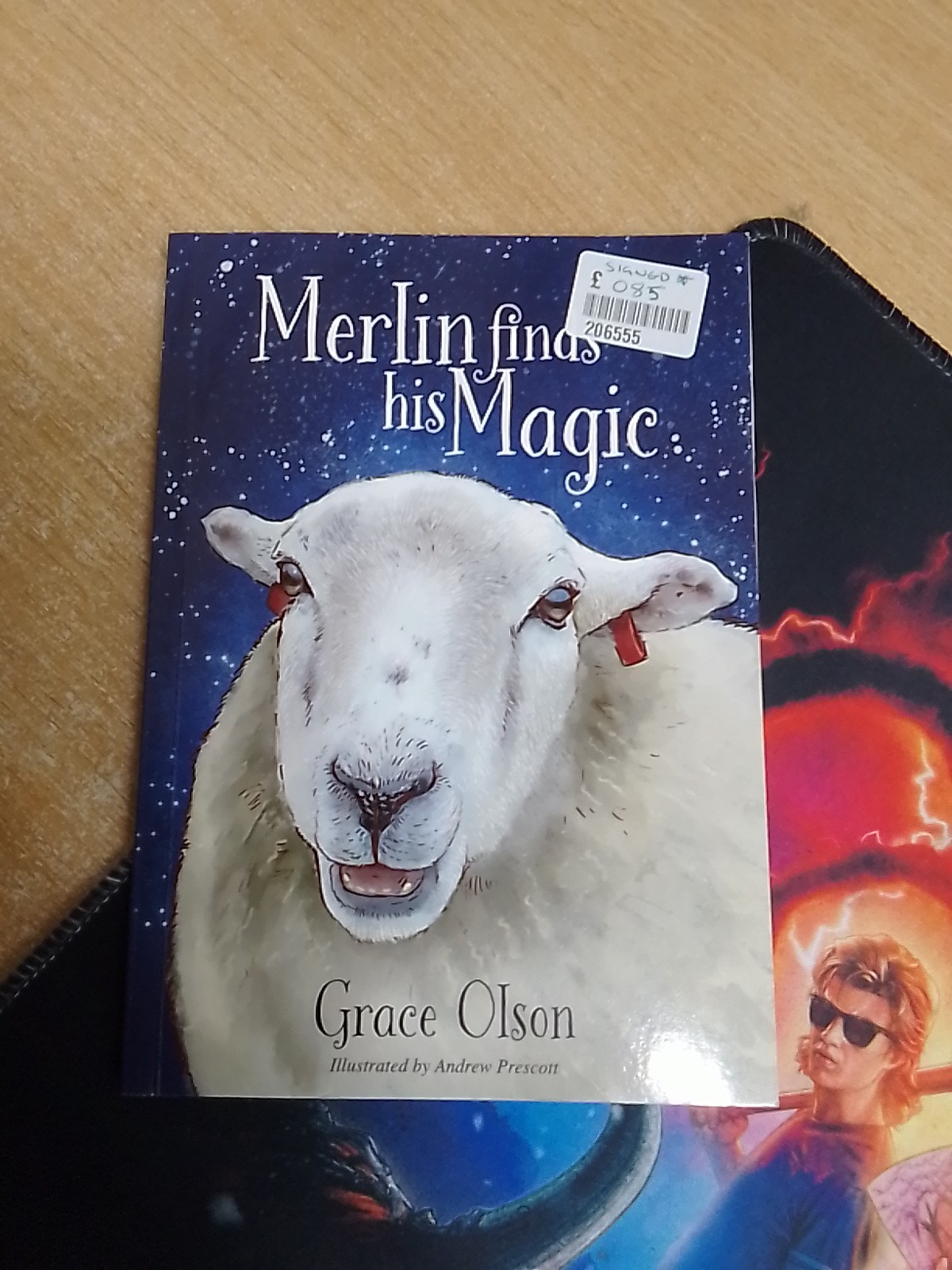 Merlin finds his Magic by Grace Olson PAPERBACK 9781839527357- signed