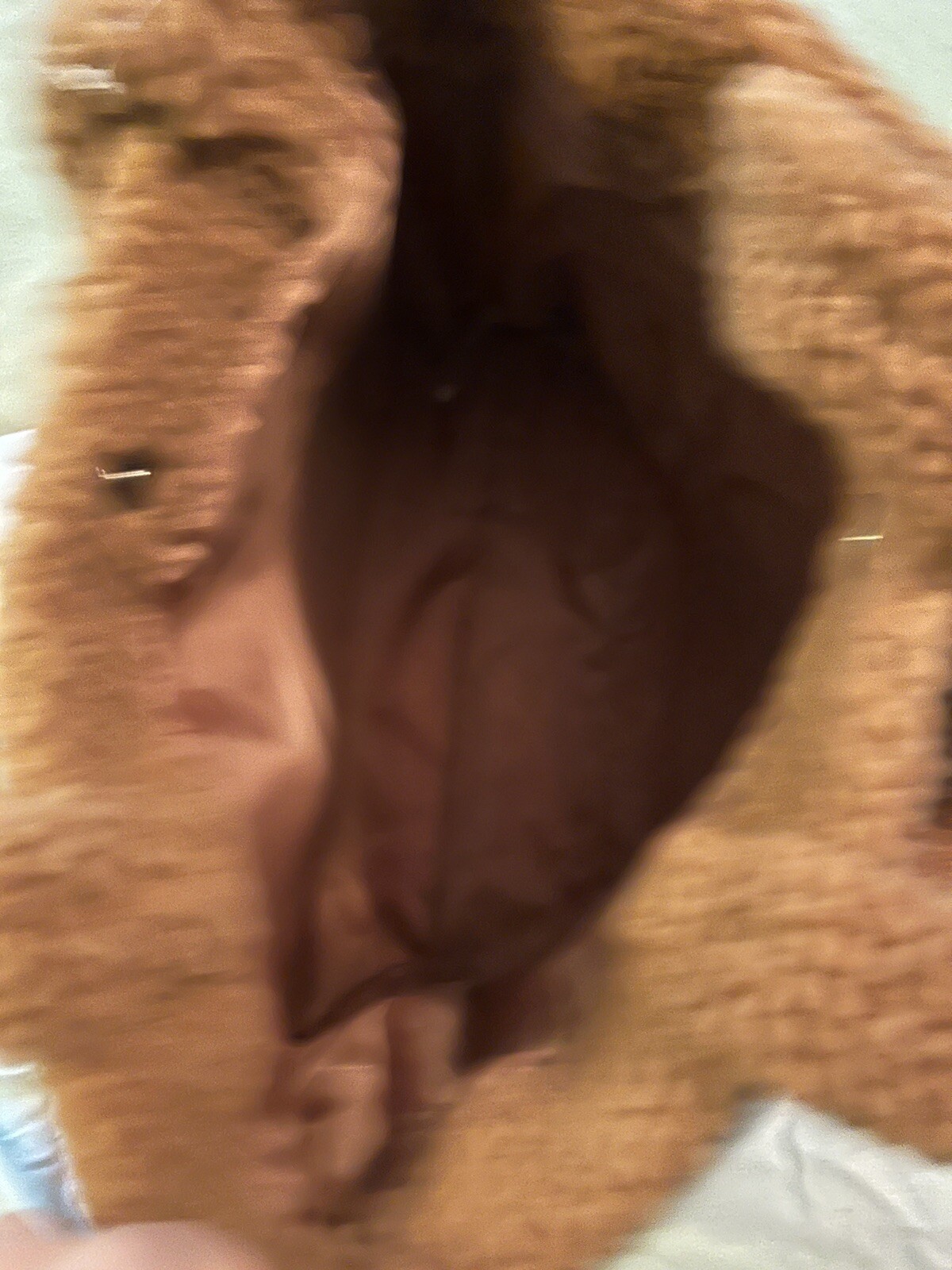 Picture 4 of 4