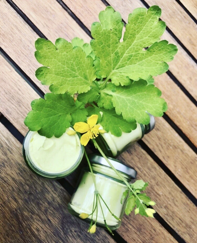ORGANIC_GOODS 🌿Celandine Ointment 100 ml 🌿VEGAN,Chelidonium majus, ECZEMA, ALLERGY, ACNE