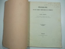 Eugene Sismonda, Prodrome d'une flore tertiaire du Piemont, 1839