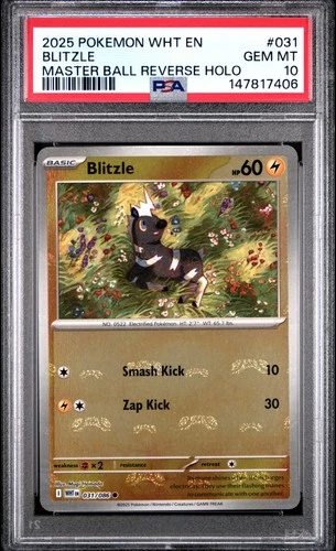 2025 POKEMON WHT EN-WHITE FLARE MASTER BALL REVERSE HOLO #031 BLITZLE PSA 10