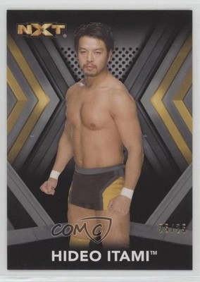 2017 Topps WWE NXT Roster Silver 25/25 Hideo Itami #14 3j2