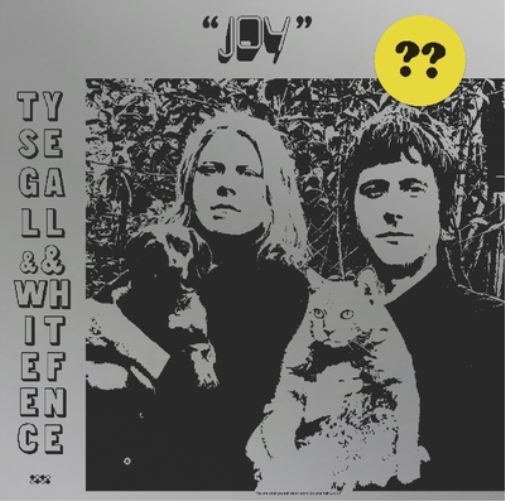 Ty Segall and White Fence Joy (CD) Album