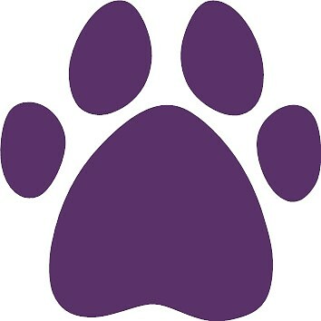 70 x Pfotendruck Hund Katze Aufkleber Vinyl Aufkleber 3 cm Auto Glas Basteln Kunst - Bild 8 von 26