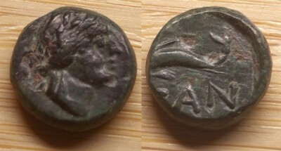 BOSPOROS Pantikapaion ПАN Dolphin Apollo Tauric Chersonesos Rare AE12