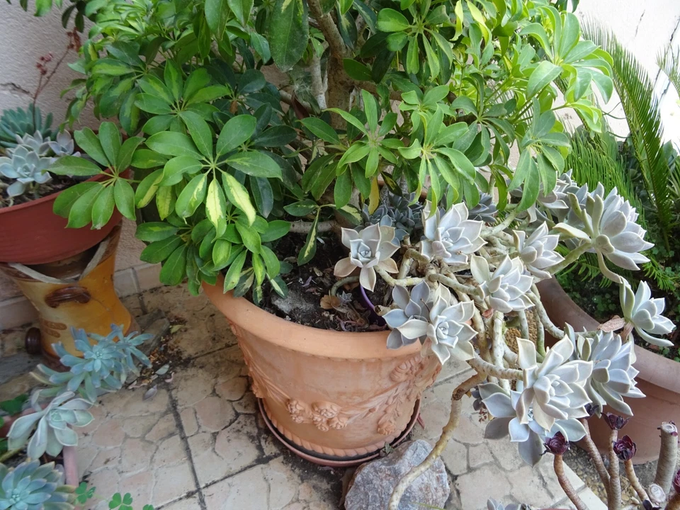 coton 2m,15x0,98  tenture ,vieux mur rideaux sari  batik les arabesques  bleues - Photo 4/4