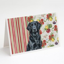 Caroline's Treasures Black Flat-Coated Retriever Vegetables Greeting Cards Pk 8