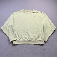 Alo Yoga Pale Green Oversized Crewneck Sweatshirt