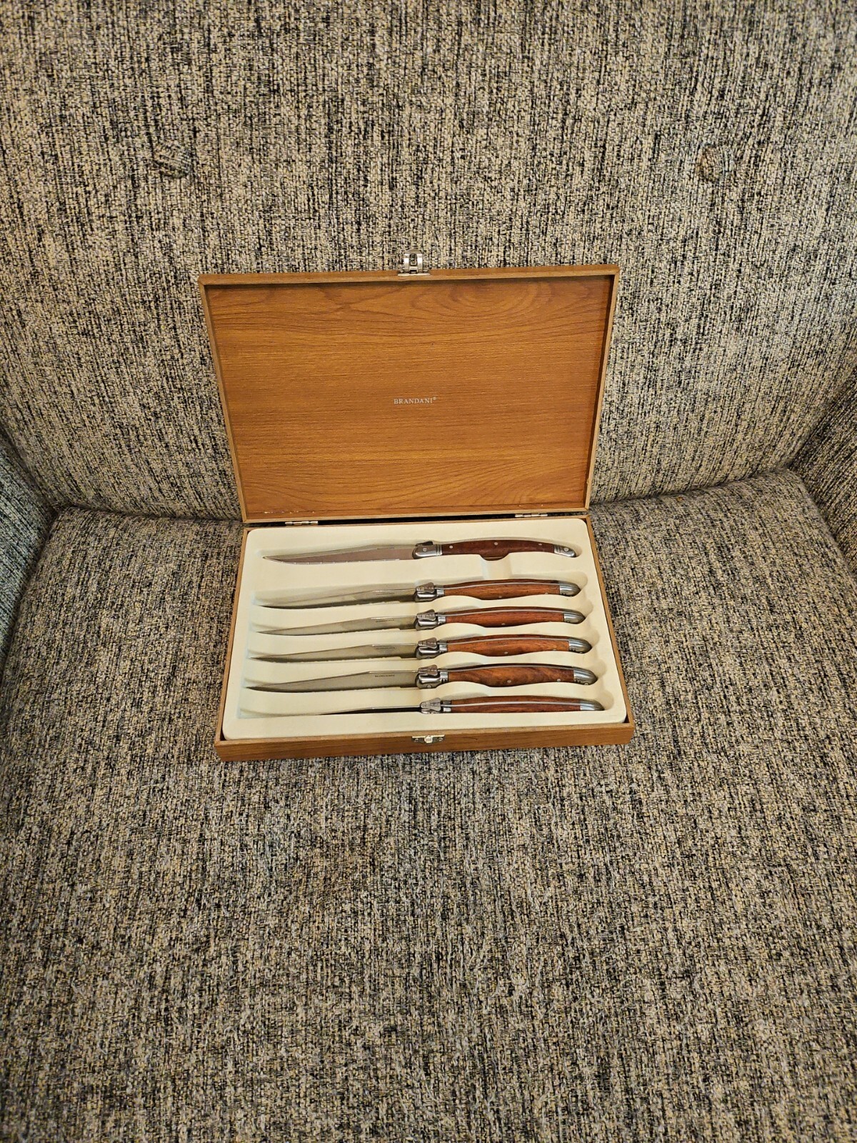 Brandani Inox Italian Style Non stick Stainless Steel Rain Steak Knives