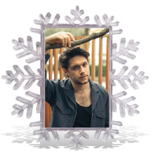 Niall Horan Christmas Tree Snowflake Hanger / Decoration / Bauble Great Gift 
