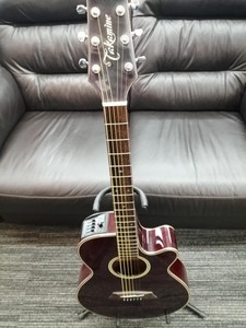 TAKAMINE NPT-110 Acoustic Electric Guitar | eBay