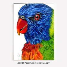 ACEO Print of Original Art, Rainbow Lorikeet, Wildlife Collectible Card Mini Art