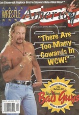 APRIL 1998 WRESTLE AMERICA WRESTLING MAGAZINE DIAMOND DALLAS PAGE HBK SHAMROCK