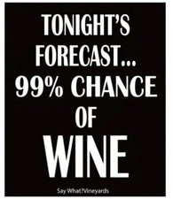 Alcohol / Wine Bottle Labels | Novelty| Best Friends | Fun Present | Unique Gift