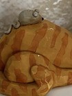 Foto 3 di 11