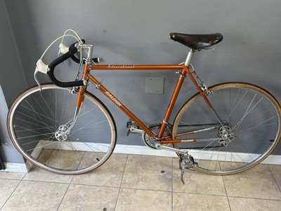 Vintage Raleigh International (near Mint Condition) Road Bike