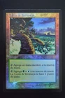 Magic The Gathering MTG YAVIMAYA COAST SPANISH FOIL Apocalypse LP Lightly Played