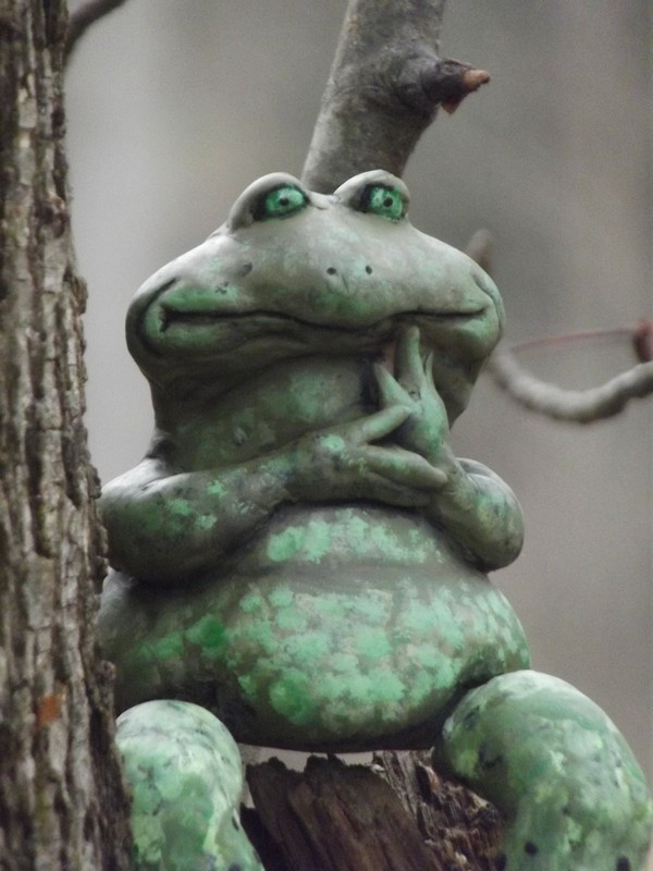 OOAK POLYMER CLAY FROG**HERBIE** BY KANDY JACKS