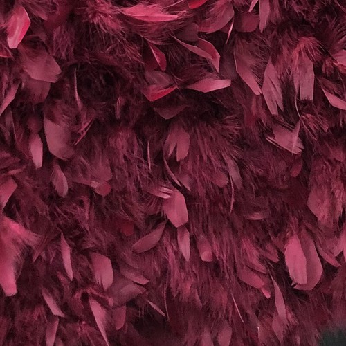 Para mujeres 100% Real Piel de Avestruz Capa Boda Fiesta Invierno Vestido Chal Top LO ÚLTIMO - Imagen 31 de 36