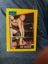 WCW WORLD CHAMPIONSHIP WRESTLING  1991 TRADING CARD #27 SID VICIOUS