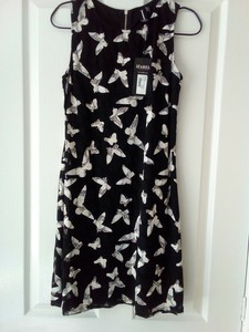 izabel london shift dress