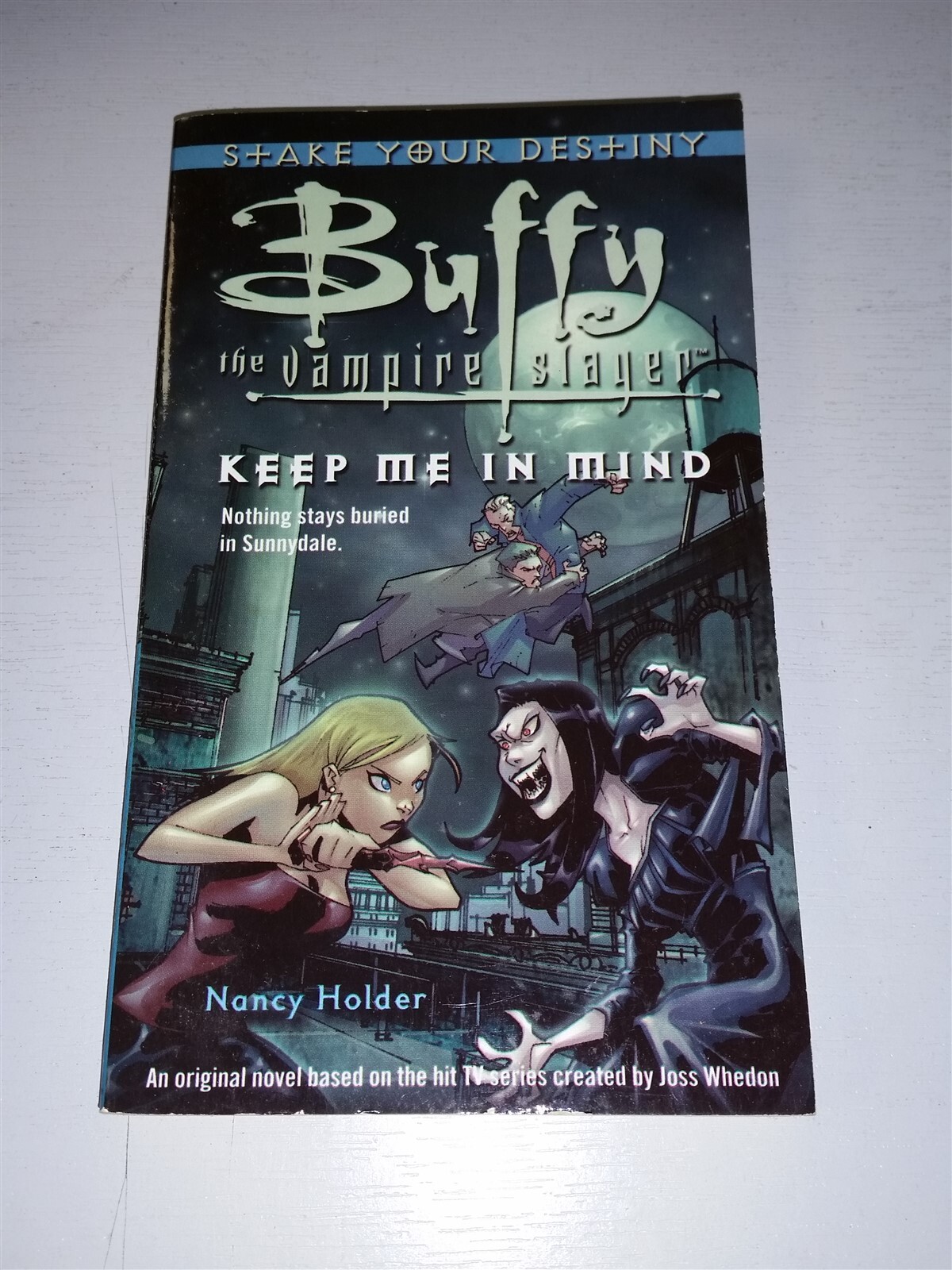 BUFFY THE VAMPIRE SLAYER KEEP ME IN MIND STAKE YOUR DESTINY POCKET TPB BOX 2