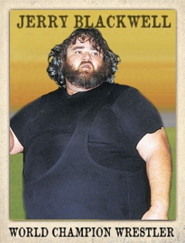 LJACards Weltmeister Wrestler Serie 3 Sammelkarten ACEO (2. Druck) - Bild 14 von 24