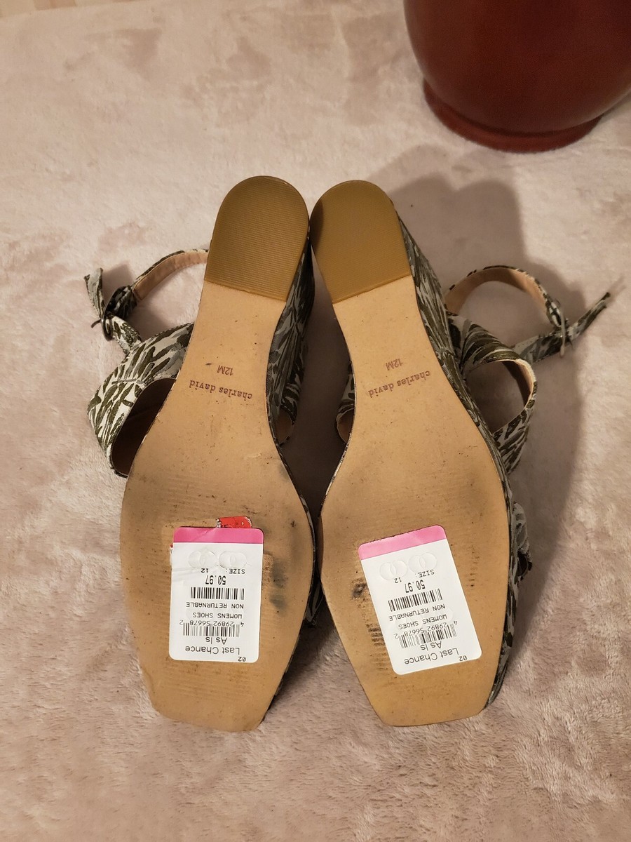 charles david jordan wedge