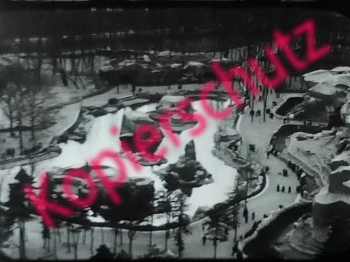 1940 er Jahre Pariser Zoo von Vincennes 8 mm Privat Film in s/w Dauer 8:56 min - Video 1 von 1