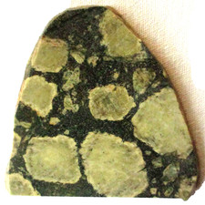 Amygdaloidal Basalt Slab - 256 grams - Green - White - Michigan