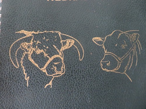 Bildatlas von Wayne County, Nebraska 1988 Karten, Verzeichnis, Fotos - Bild 4 von 15