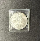 2005 Walking Liberty American Eagle 1oz .999 Fine Silver $1 Dollar USA