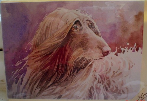 Preciosa tarjeta de felicitación en blanco de sabueso afgano - Imagen 1 de 1