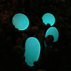 Bild 9 von 11
