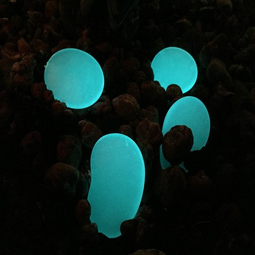 Sassi Plats Verre Fotoluminescenti En 3 Couleurs Qui Brille dans la Nuit - Imagen 9 de 11