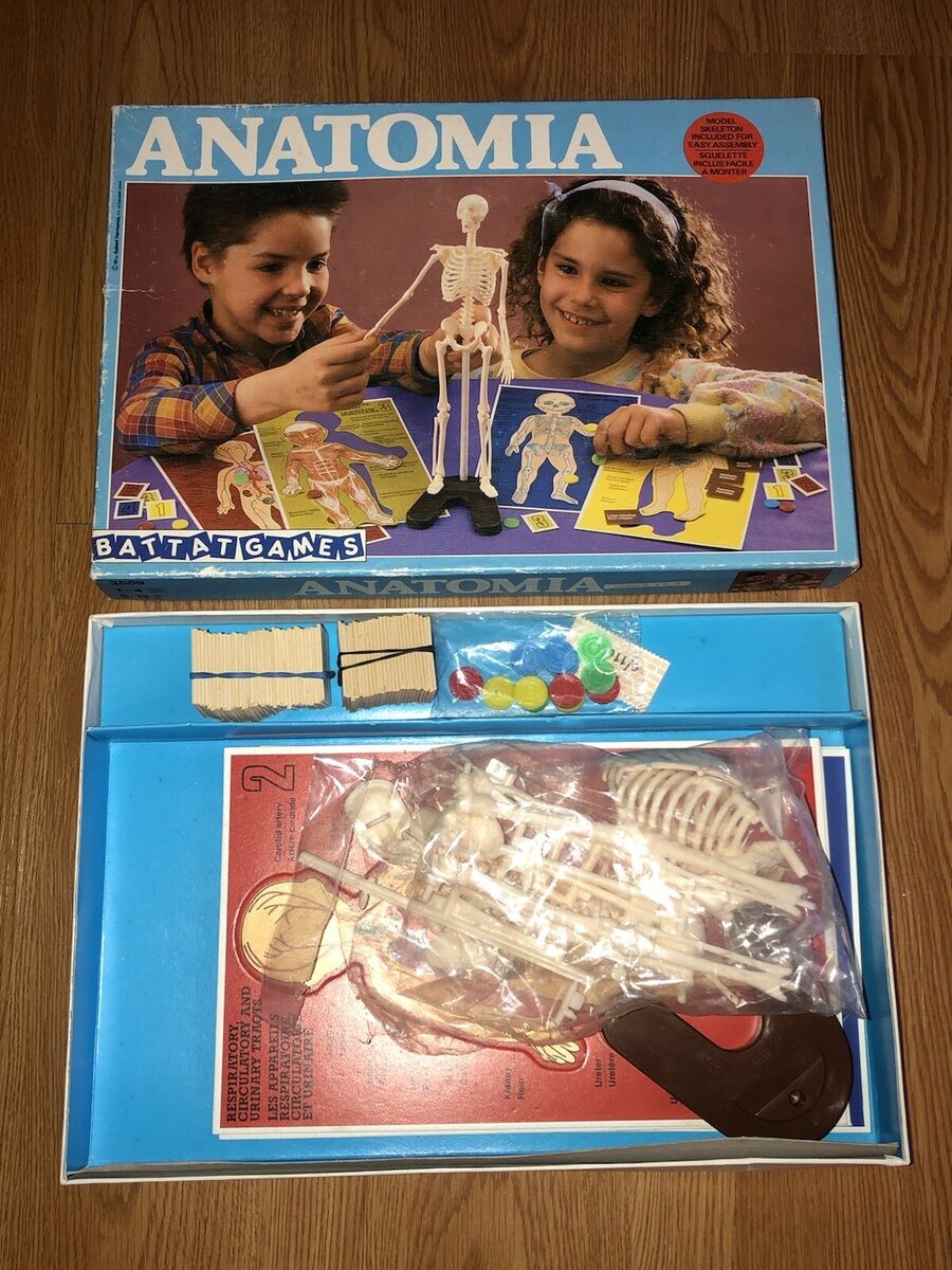 Vintage 1986 Anatomia Board Game Battat Games RARE Skeleton Model - COMPLETE