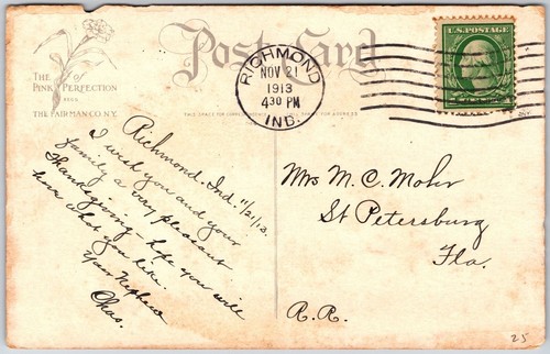 1913 Thanksgiving Greetings Baby Crawling Touch Feet Of Turkey Posted Postcard - Picture 2 of 2