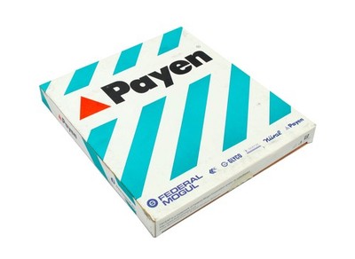 Kopfdichtungsset DY360 PAYEN