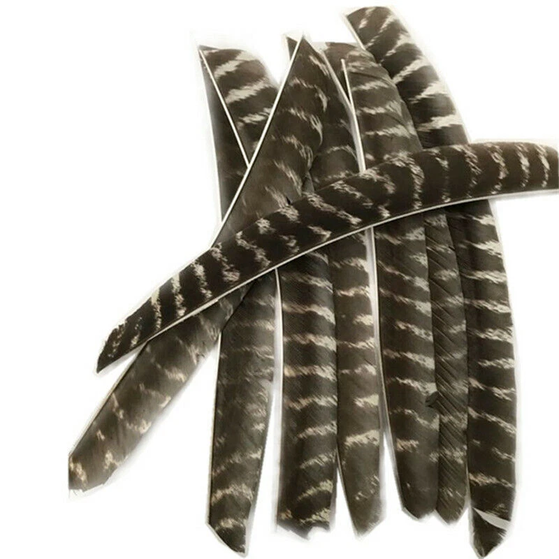 50X Full Length Arrow Feathers Turkey Fletches Fletching RW LW Archery Shaft DIY - Image 3 of 4