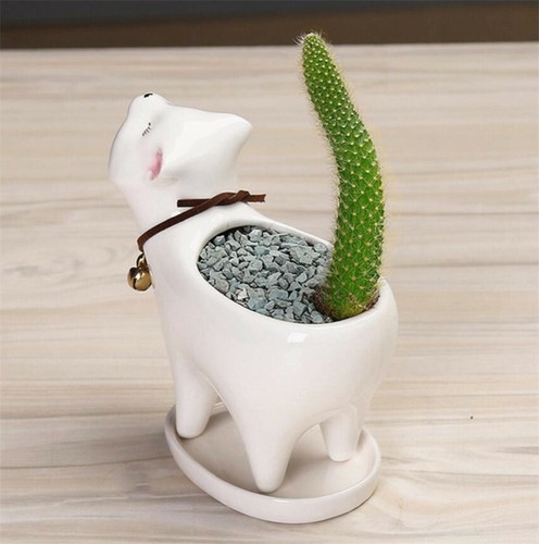 Linda maceta de cactus suculentos para gatos con orificio de drenaje y bandeja decoración de maceta - Imagen 7 de 8