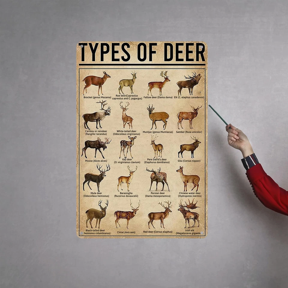 Letrero de metal tipo rústico de ciervo, arte de pared de granja vintage letrero de hojalata - caza Foto 2 de 4